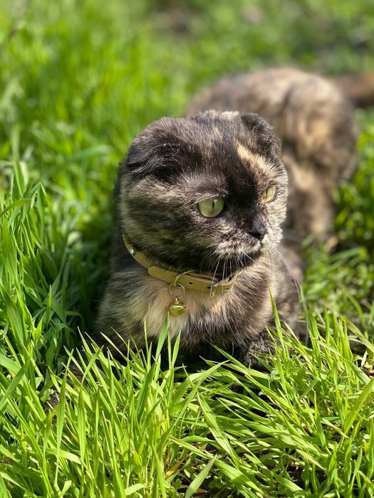 Сотилади, Продается