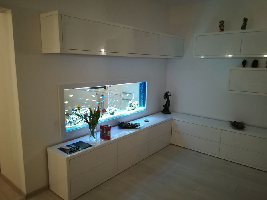 Amenajare și întreținere acvarii