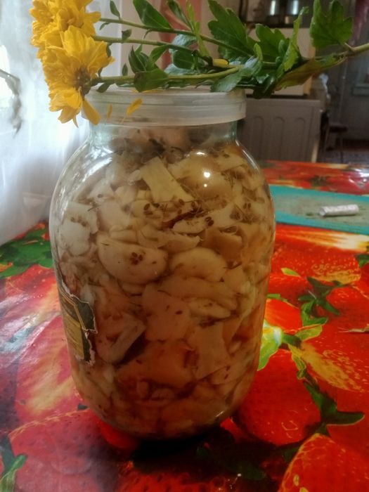 Продам маринованные грибы