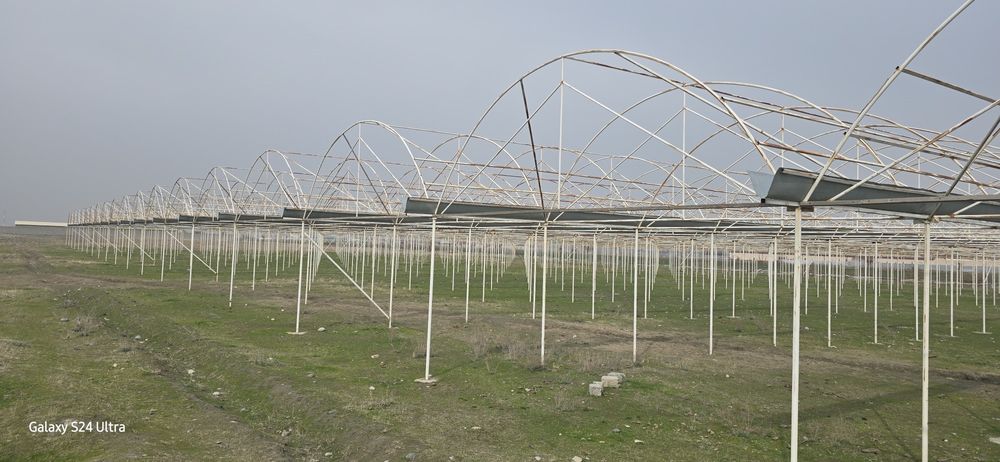 Теплица 1 га  ва теплица метал конструкциялари сотилади