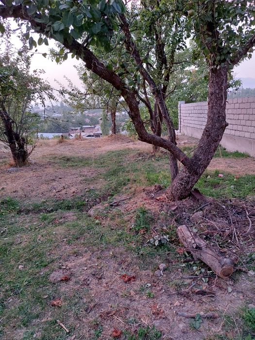 Yer sotiladi Toshkent viloyati Parkent tumani Zarkent qishloĝi
