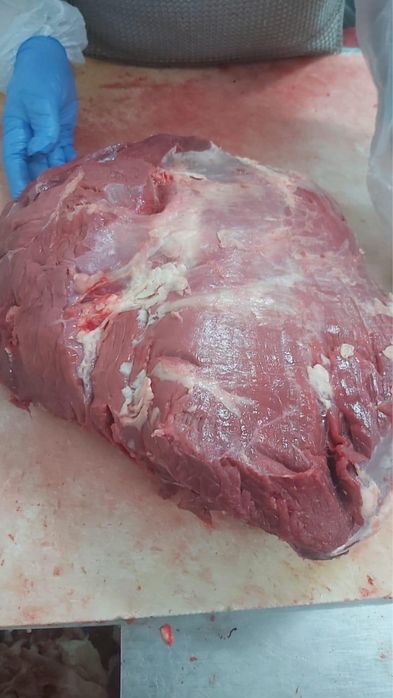 ПРОДАЕМ ТОЛЬКО ОПТОМ! Мясо говядины разных сортов
