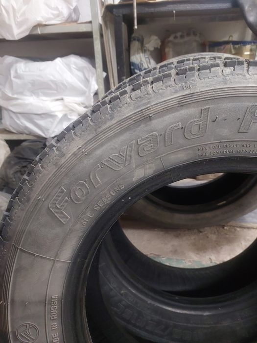 балоныы летние газель