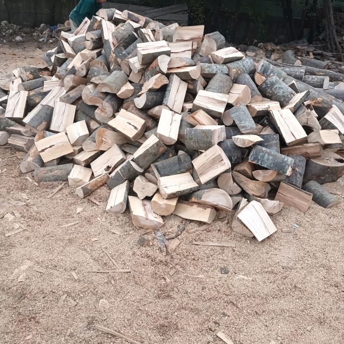 Lemne de foc fag capete uscate sau verzi 600.lei tona