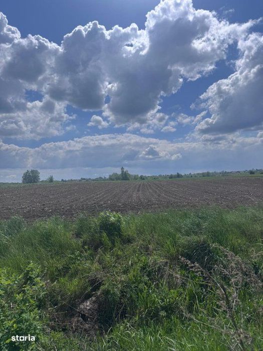 Teren extravilan, 7800mp, Burla