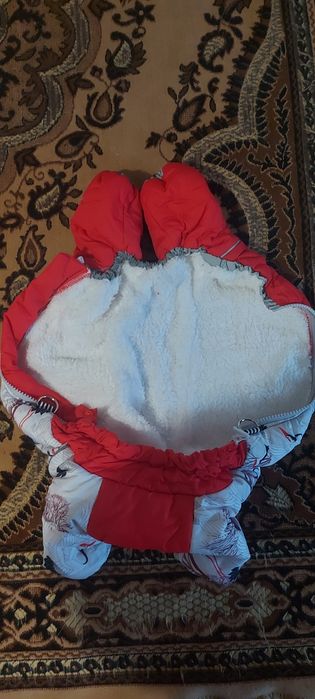 Костюмы для маленьких собак