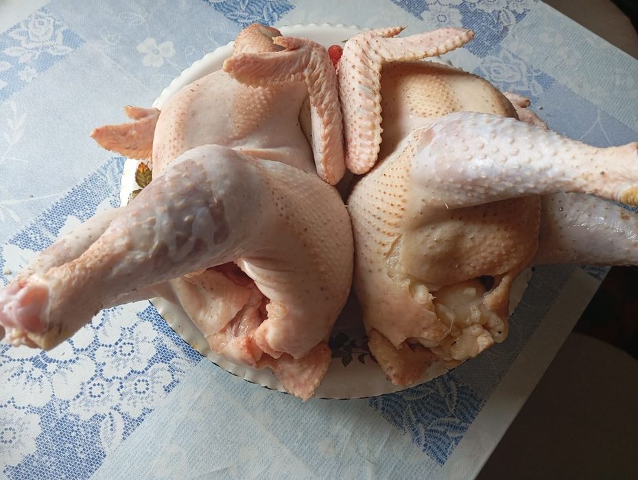 Мясо Домашнее куры