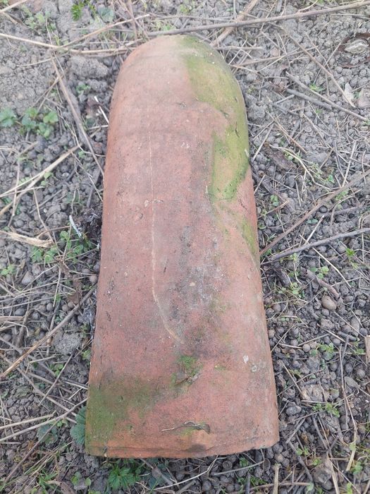 Țiglă solzi și coame