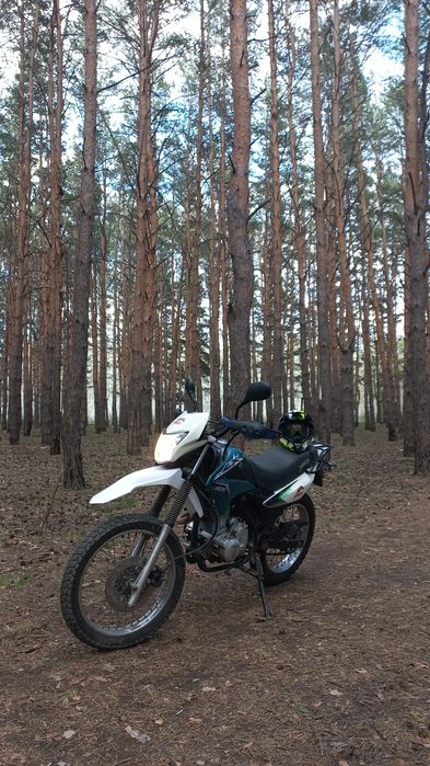 Продам яки торнадо