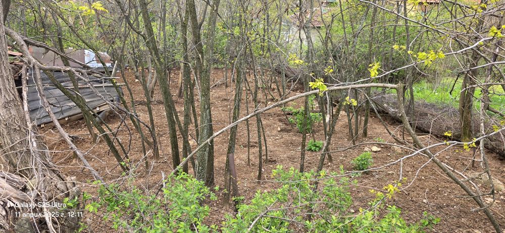 Продава се Парцел в Враца, Център - 700 кв.м за 44 €/кв.м - Снимка #2