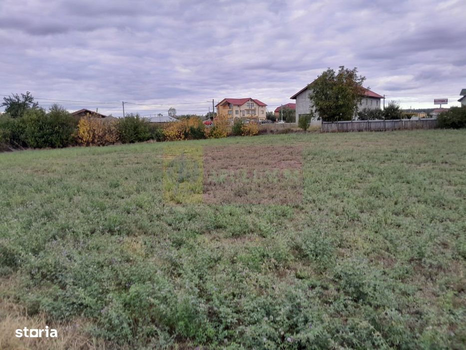 De Vanzare Teren 2000 Mp  -  Cosereni( Il )