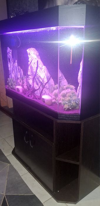 Продам аквариум с тумбой
