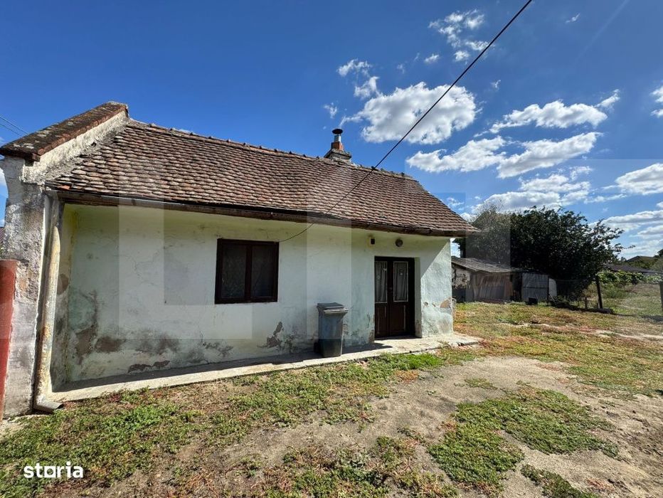 Casa veche cu teren generos in vatra veche Șag