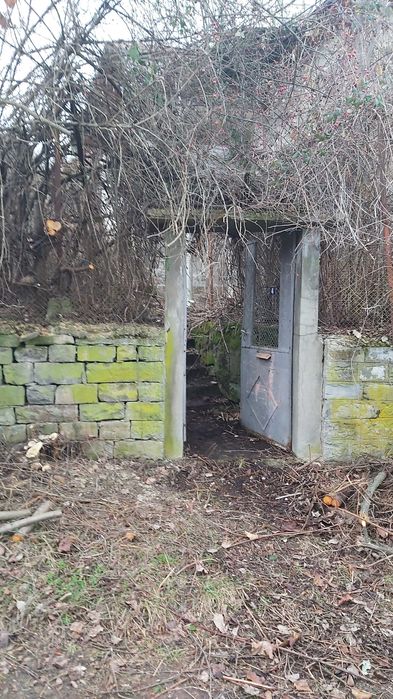 Почистване на запустели дворове и парцели от храсти и къпина.