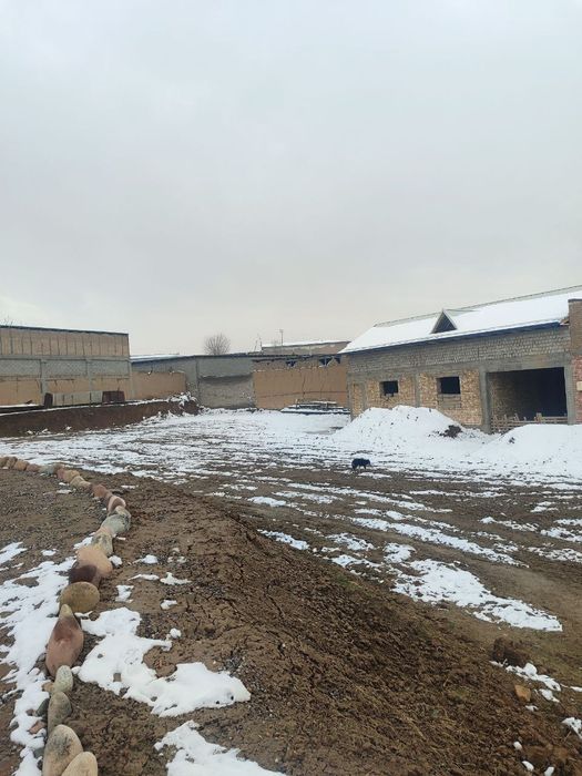 Yer sotiladi 3 sotix (1 sotix 12000$). Zangiota tumani