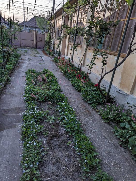 Casă + teren de vânzare Zimandu Nou, Arad