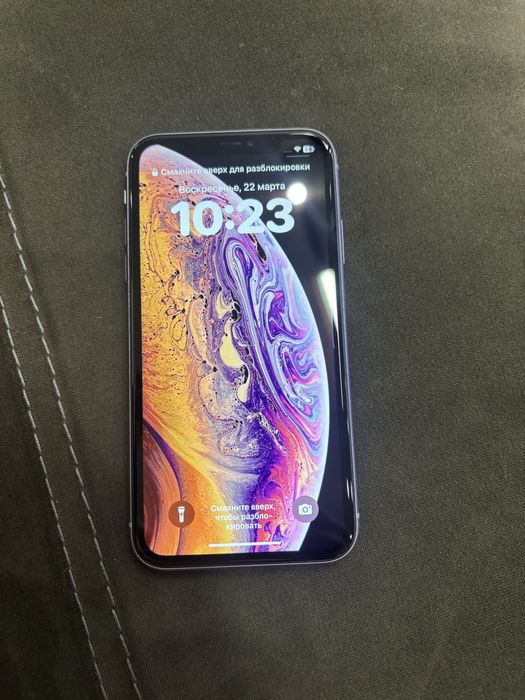 Аифон 11 в живом состоянии