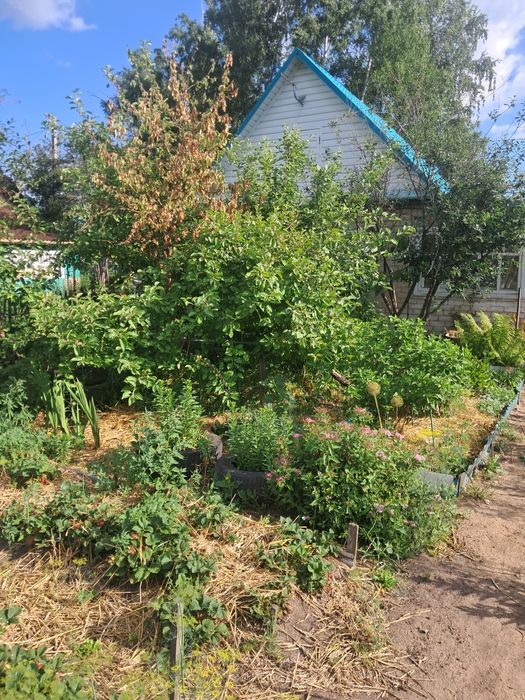 Продам дачу со Горизонт