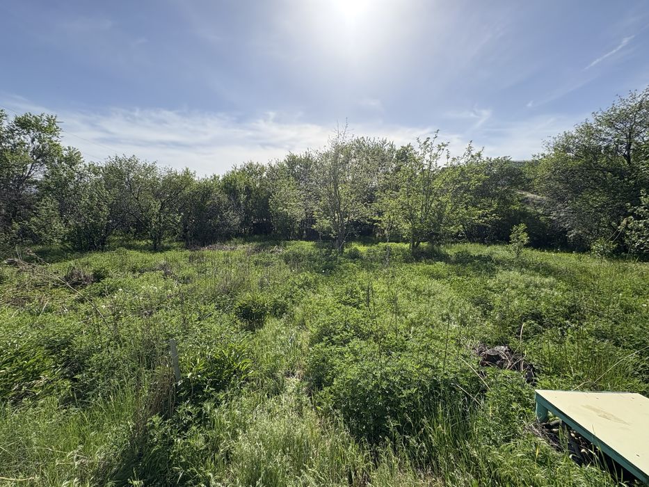 Продам дачу СТ Чемолган СО Кок Жиек