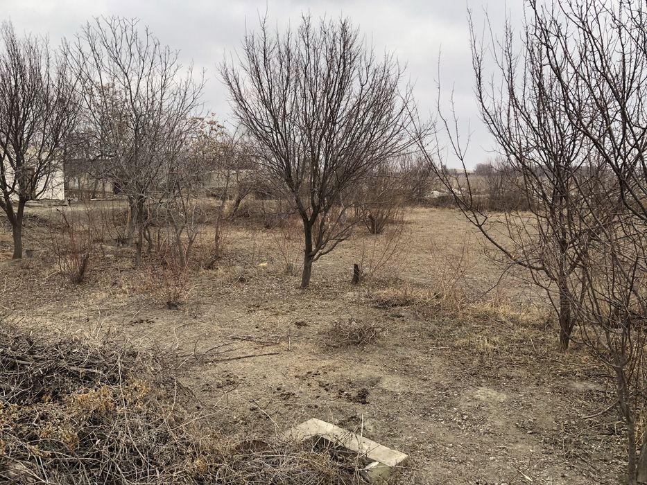 Xovlli sotiladi 25 sotiq