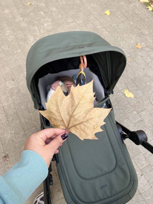 Landou Joolz Aer + Forest Green