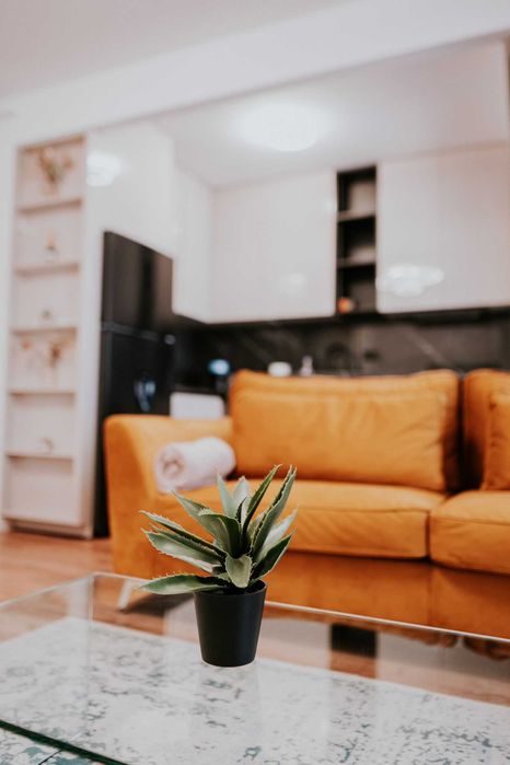 Studio LUX Premium|Regim hotelier|Aproape de Centru|Parcare|Cazare