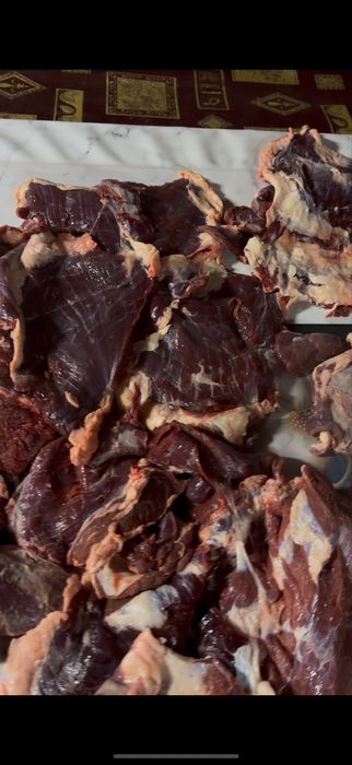 Мясо. Чистая мякоть.