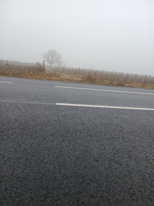 Vând teren la șoseaua națională E85 Dumbrăveni