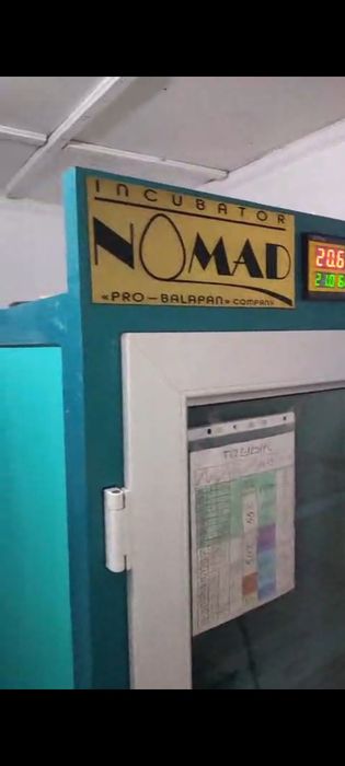 Инкубатор на 1056 яйц