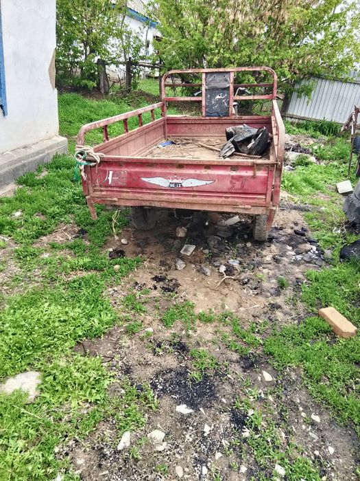 Әдемі көркем мота сатылады