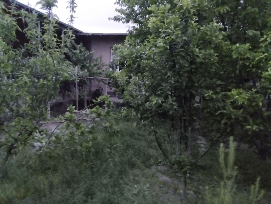 Ховли сотилади.Фарход савхозида 6 сутик