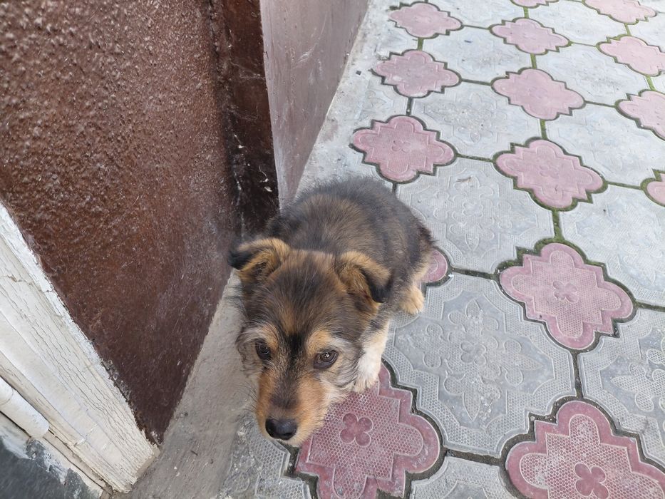 Званок мальчик пальчик