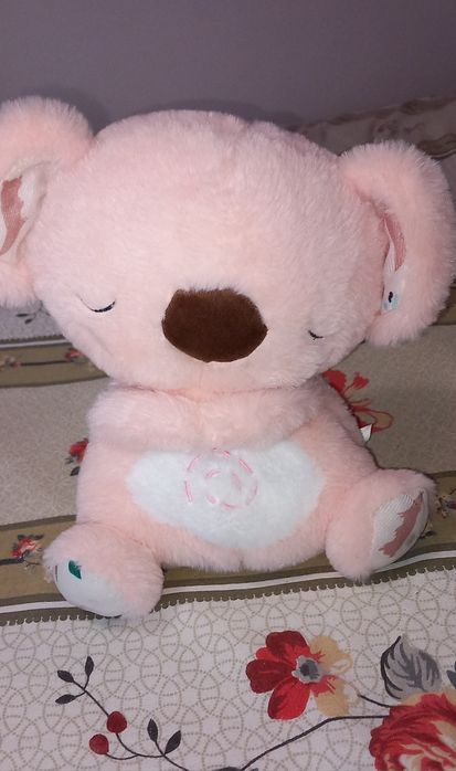 Urs koala care respira.