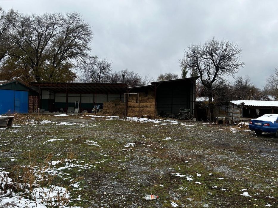 Продам 2 дома 38сотых