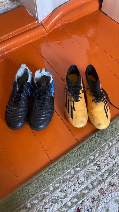 Сороконожки сатылады