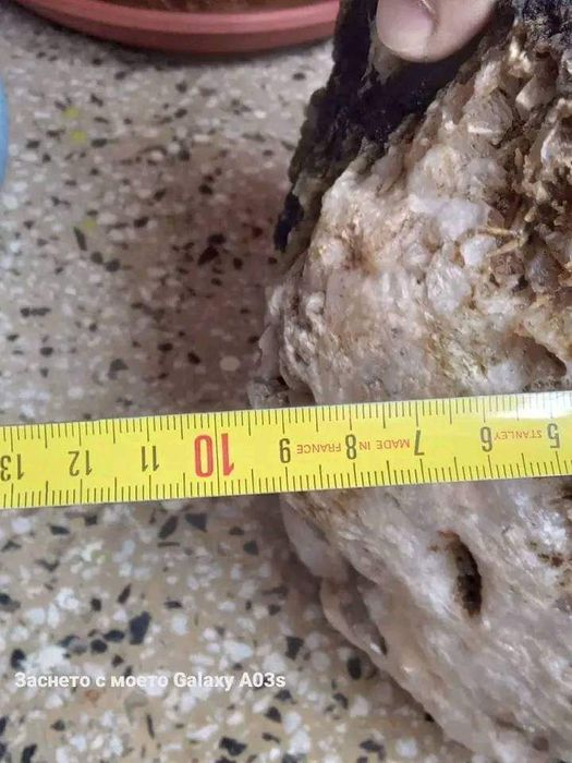 Геода с калцит и кварц