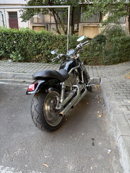 Harley Davidson V rod