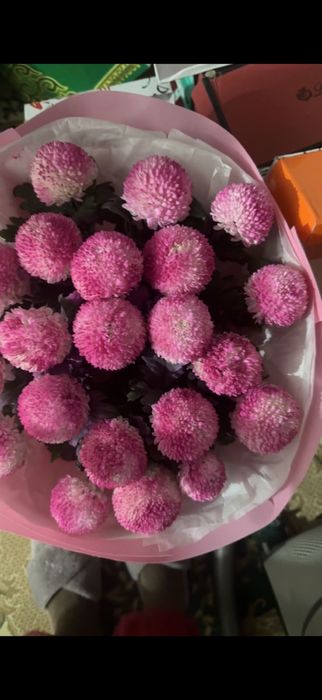 Момоко цветы свежые