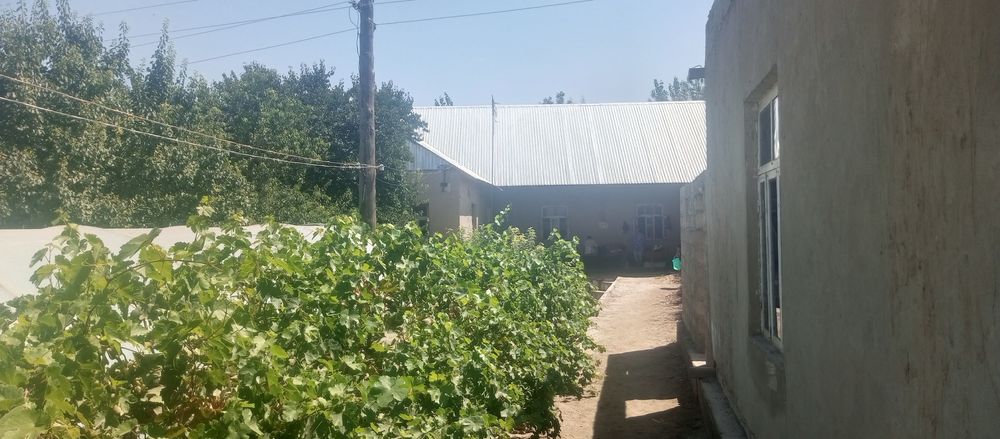 Ховли сотилади ,