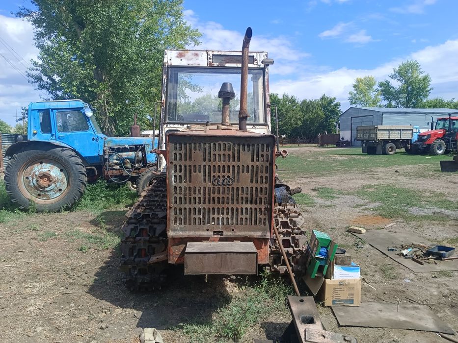 Продаётся Алтаец Т4а