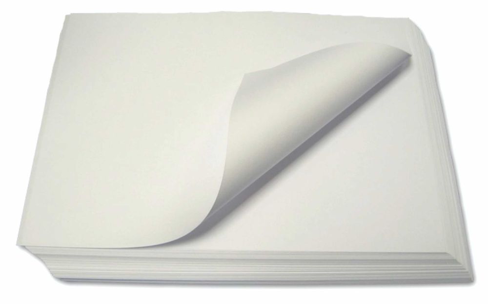 Пергамент\подпергамент\плейсмет с логотипом и без