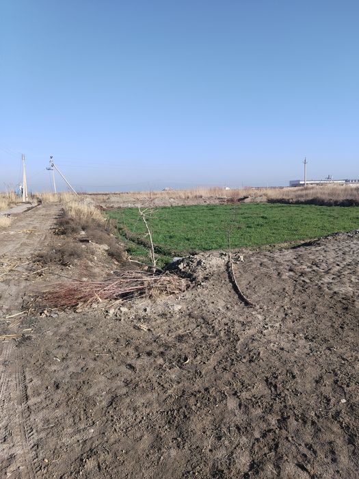 Срочно!!! Продаётся земленный участок!Маданият!