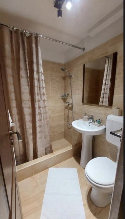 Casa De Inchiriat Calea Plevnei 7 Camere 7 Bai