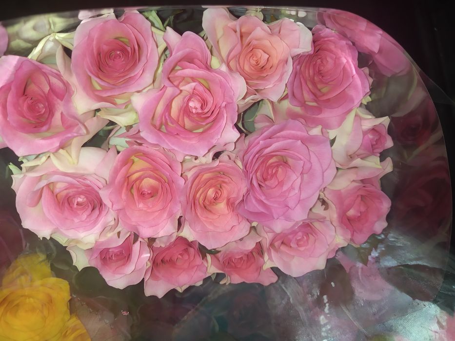 Цветы (букеты,корзинки на заказ)