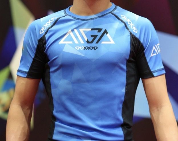 Aiga греплинг мма