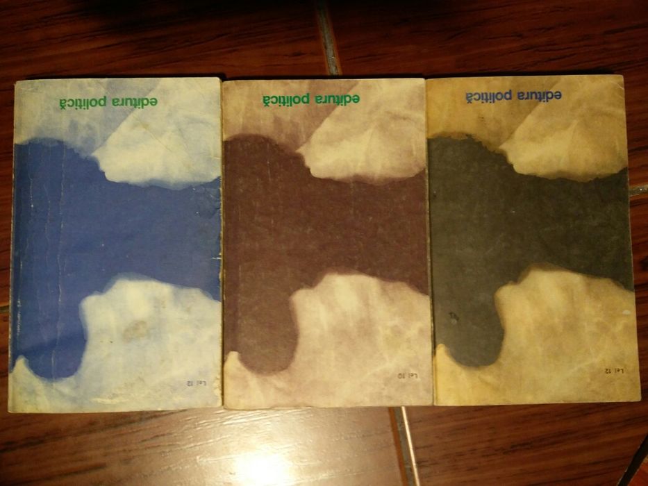 Cupola Fapte din umbra - NEAGU COSMA