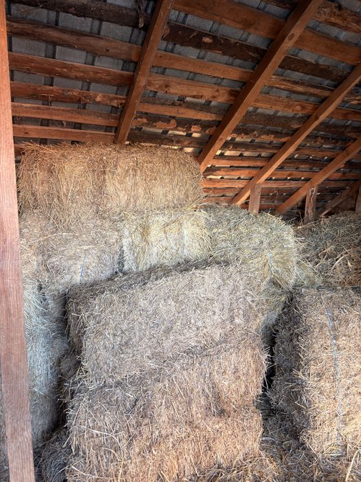 Vand baloti de lucerna