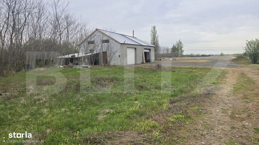 Spatiu industrial Hala 106 mp, 5700 mp Teren intravilan - Livada