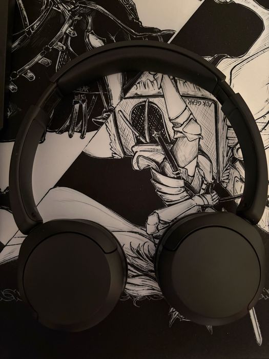 Наушники Sony WH-CH520