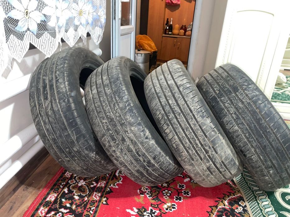 Ризина 17 лік жап жаңа